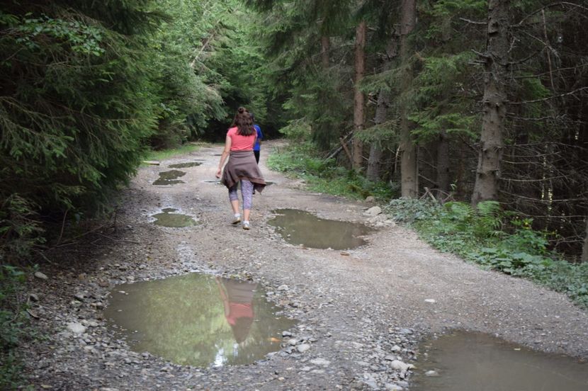  - 2017 - Obarsia Lotrului - prima zi