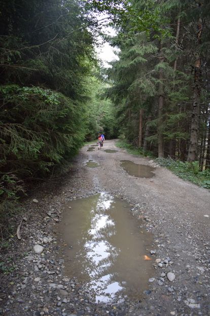  - 2017 - Obarsia Lotrului - prima zi