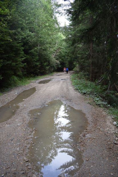  - 2017 - Obarsia Lotrului - prima zi