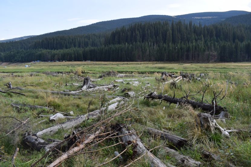  - 2017 - Obarsia Lotrului - prima zi