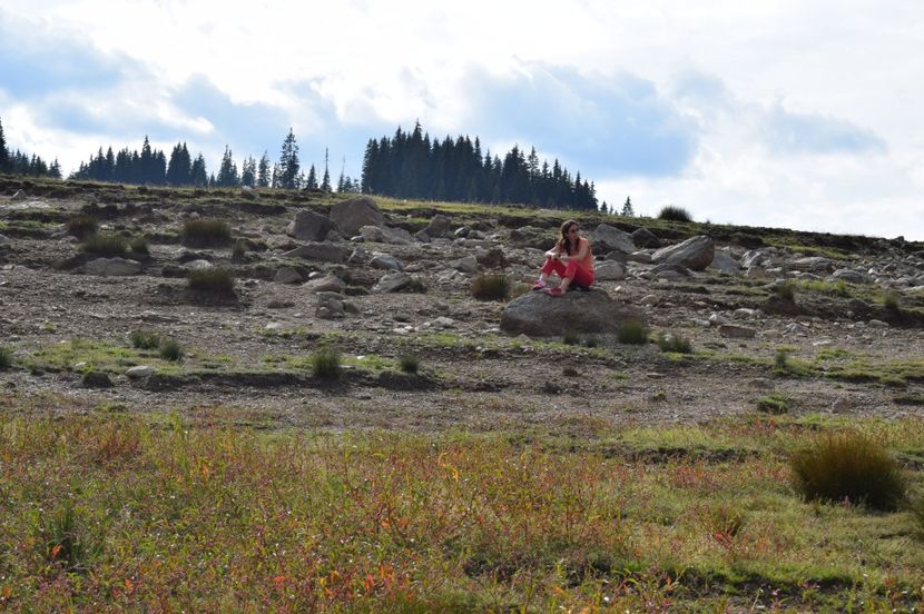  - 2017 - Obarsia Lotrului - prima zi