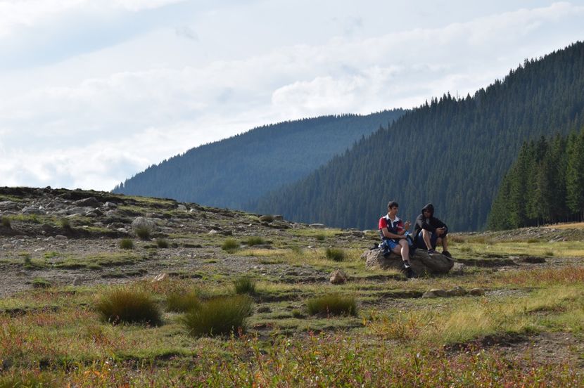  - 2017 - Obarsia Lotrului - prima zi