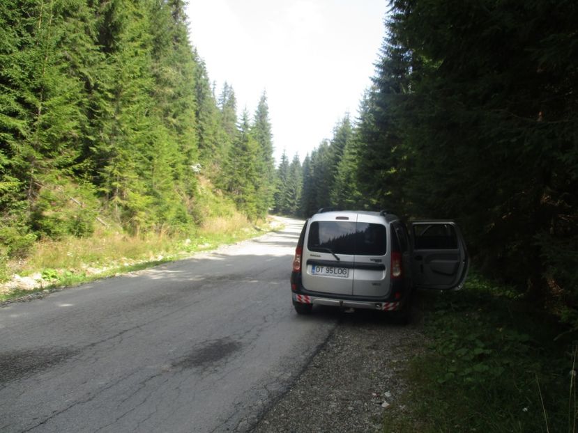  - 2017 - Obarsia Lotrului - prima zi