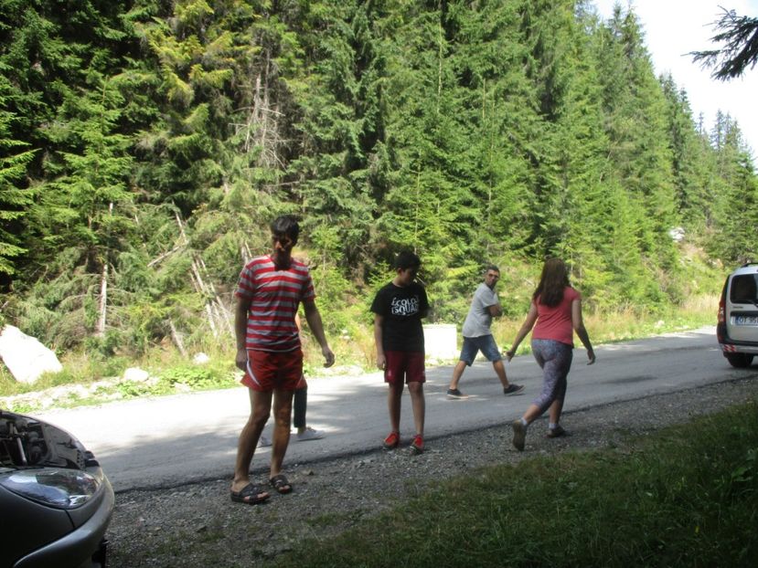  - 2017 - Obarsia Lotrului - prima zi