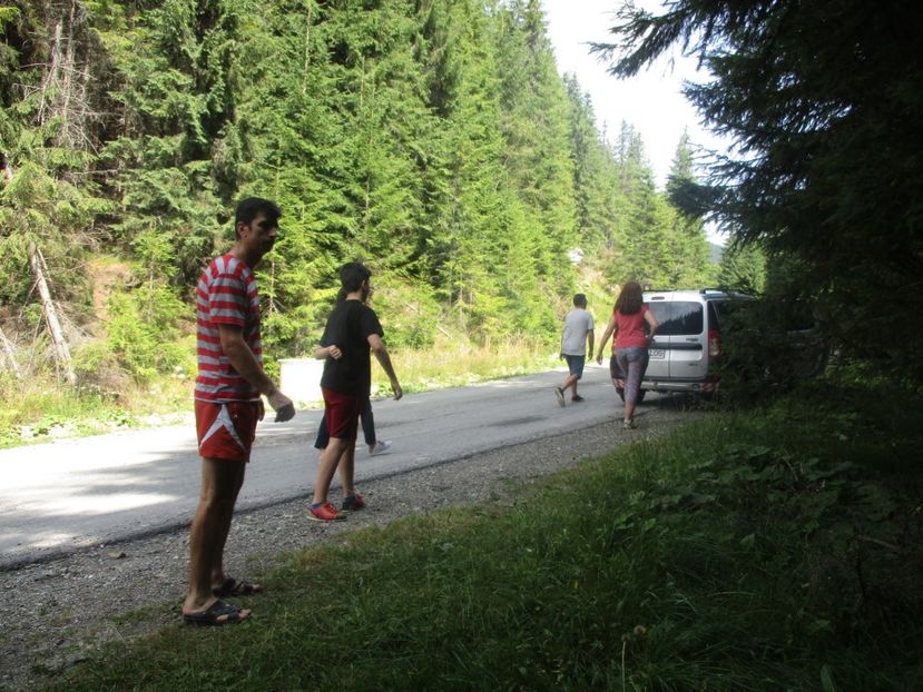  - 2017 - Obarsia Lotrului - prima zi