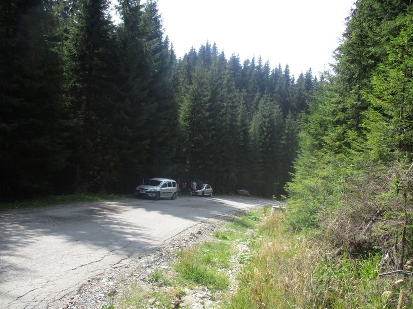  - 2017 - Obarsia Lotrului - prima zi