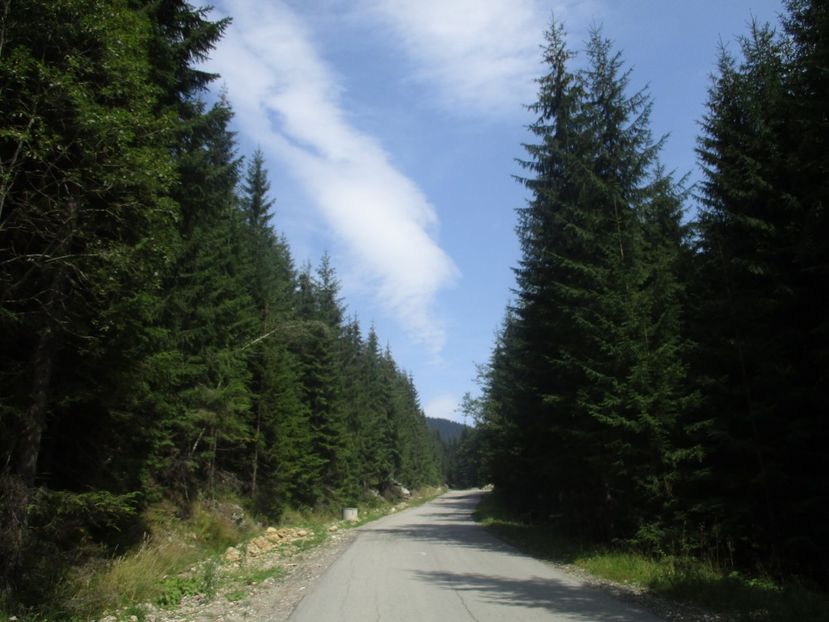  - 2017 - Obarsia Lotrului - prima zi