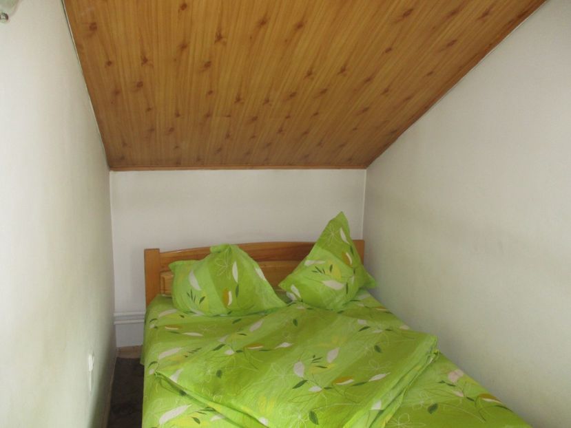  - 2017 - Obarsia Lotrului - prima zi