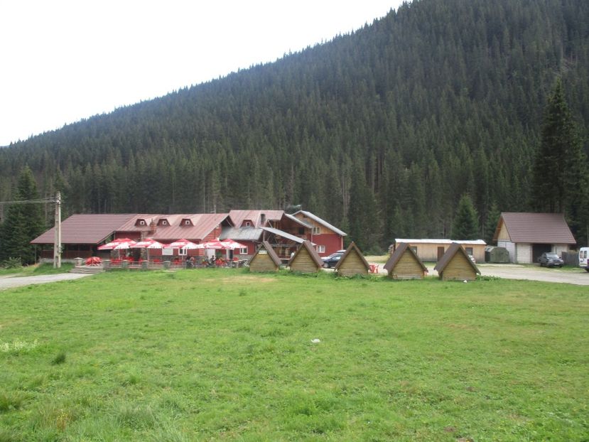  - 2017 - Obarsia Lotrului - prima zi