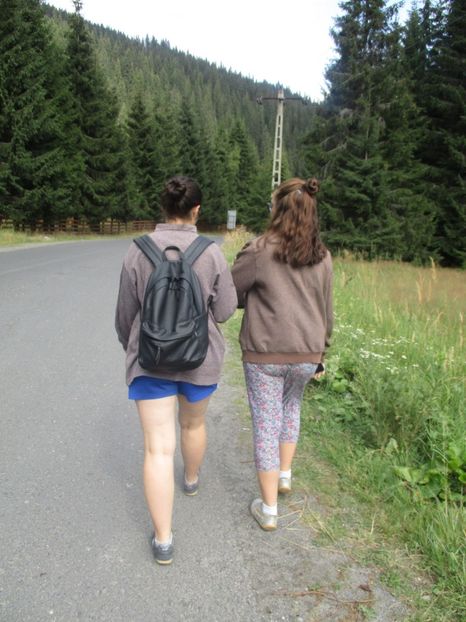  - 2017 - Obarsia Lotrului - prima zi