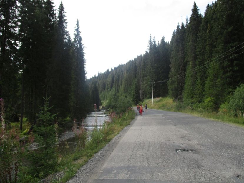  - 2017 - Obarsia Lotrului - prima zi