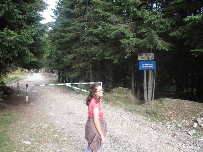  - 2017 - Obarsia Lotrului - prima zi