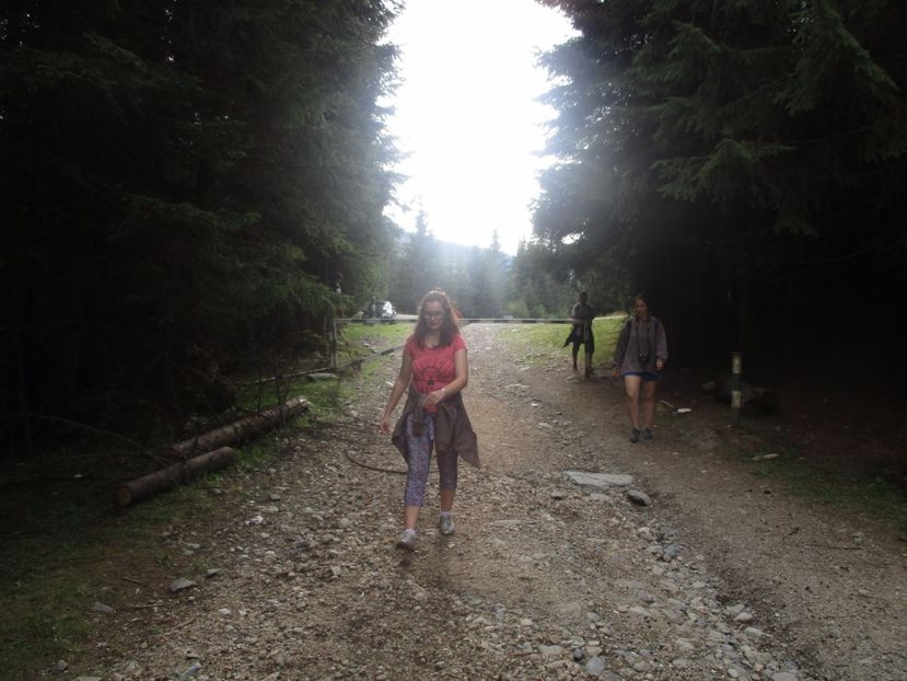  - 2017 - Obarsia Lotrului - prima zi