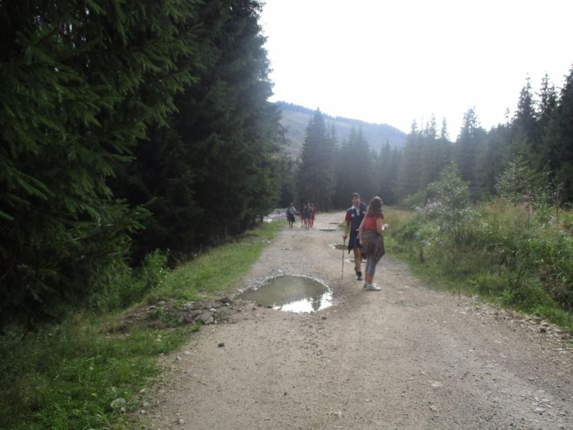  - 2017 - Obarsia Lotrului - prima zi