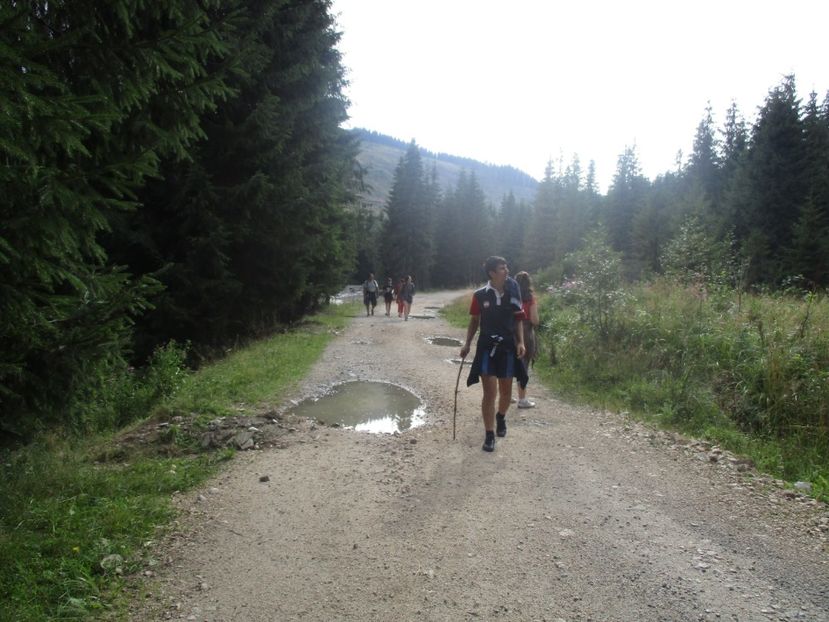  - 2017 - Obarsia Lotrului - prima zi