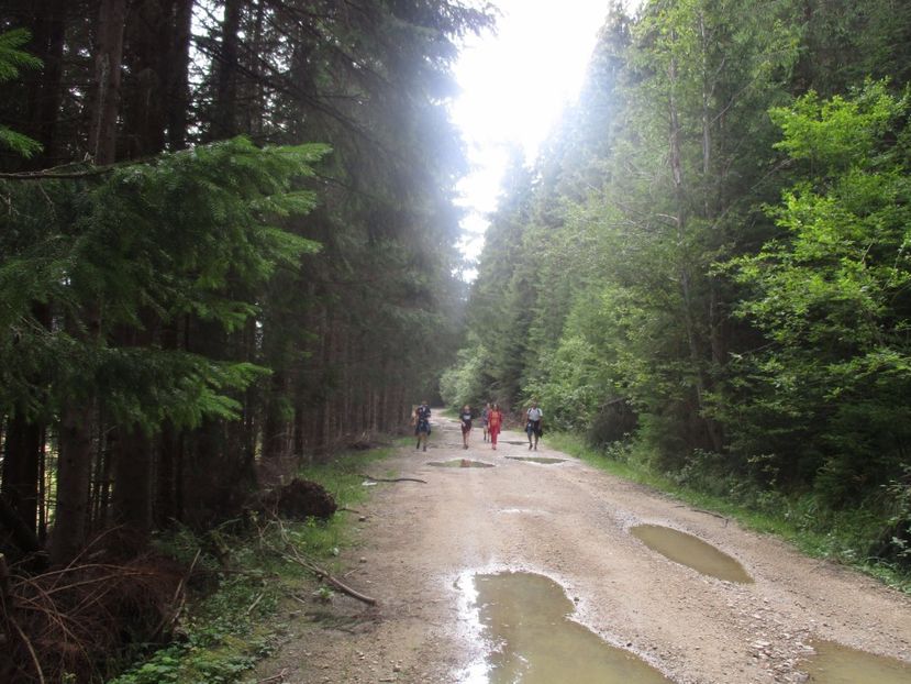  - 2017 - Obarsia Lotrului - prima zi