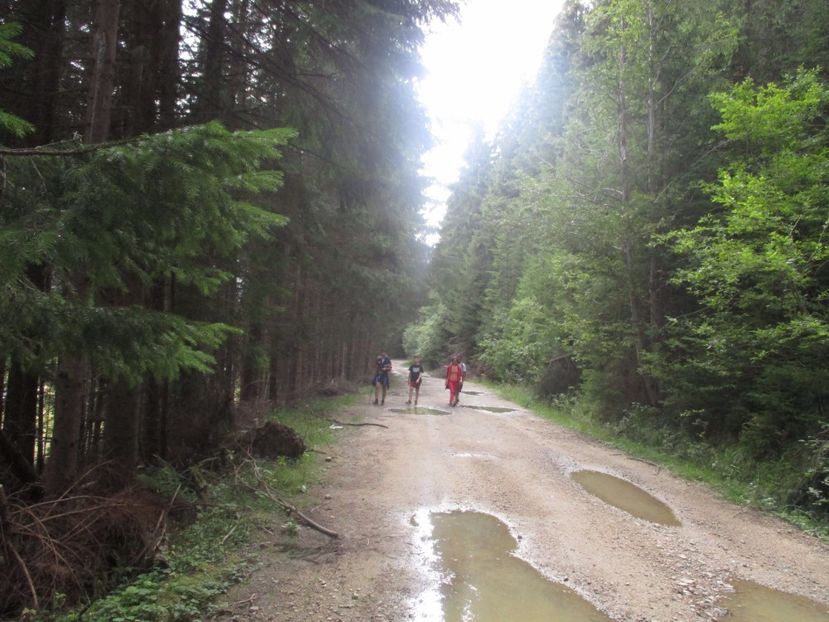  - 2017 - Obarsia Lotrului - prima zi