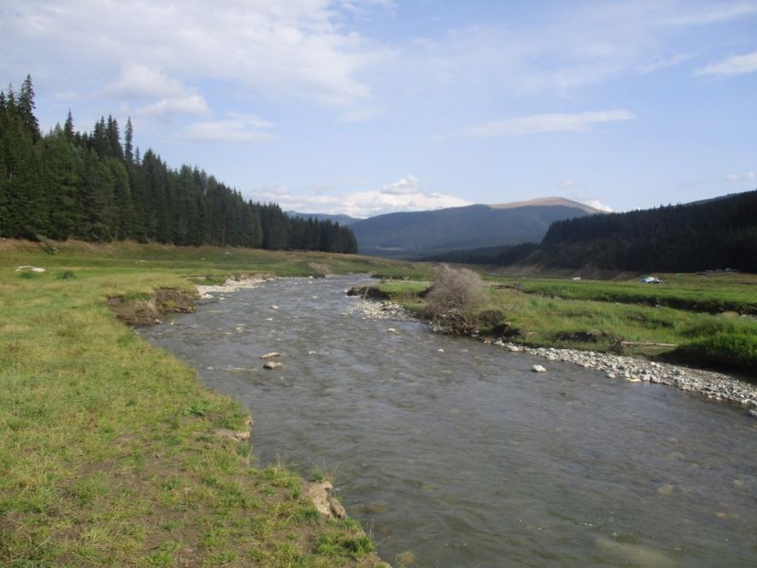  - 2017 - Obarsia Lotrului - prima zi