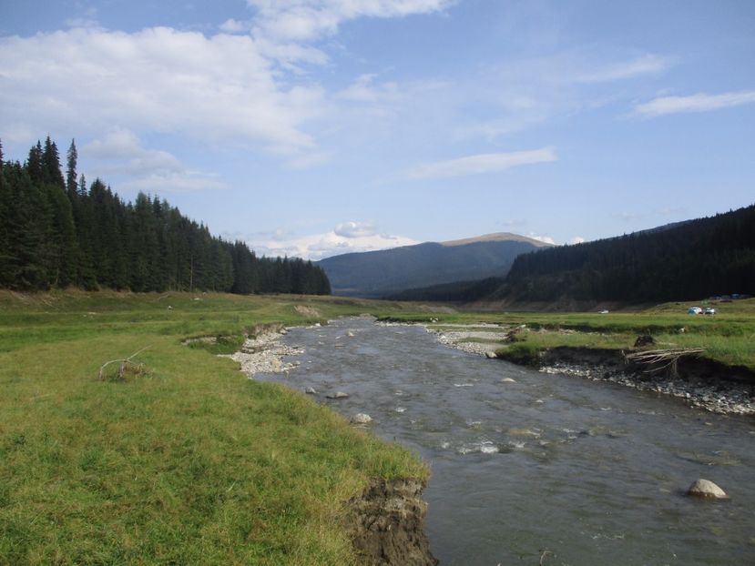  - 2017 - Obarsia Lotrului - prima zi