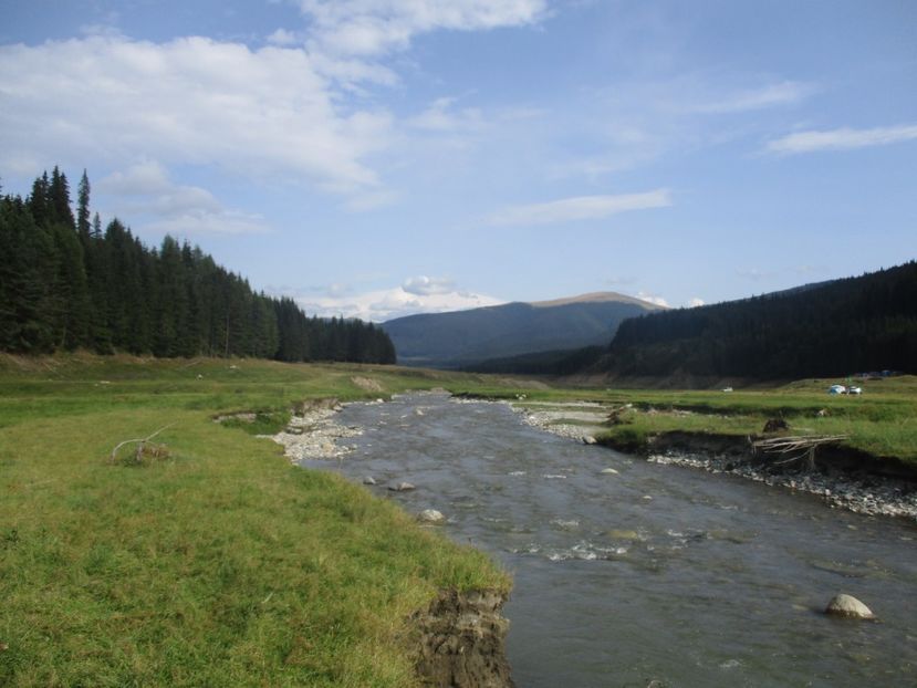  - 2017 - Obarsia Lotrului - prima zi