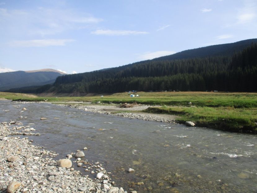  - 2017 - Obarsia Lotrului - prima zi