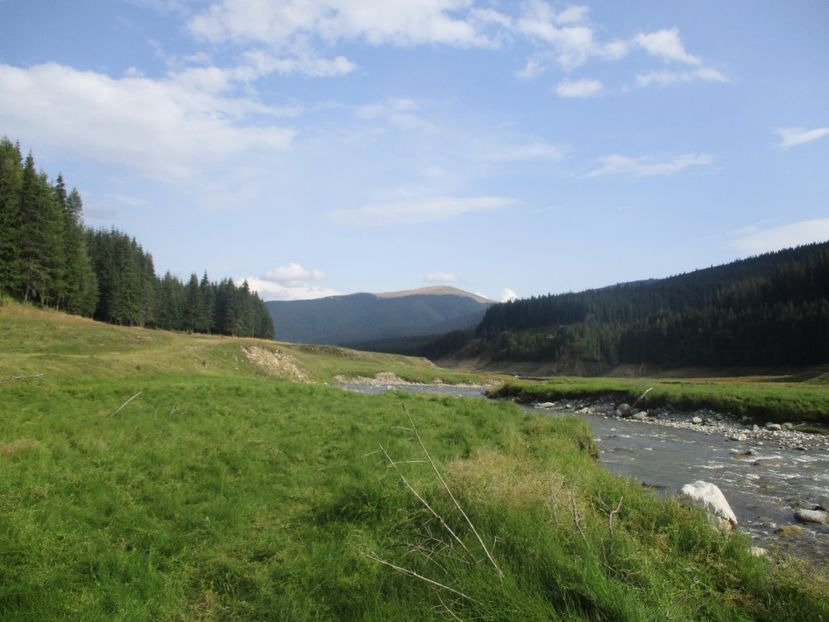  - 2017 - Obarsia Lotrului - prima zi
