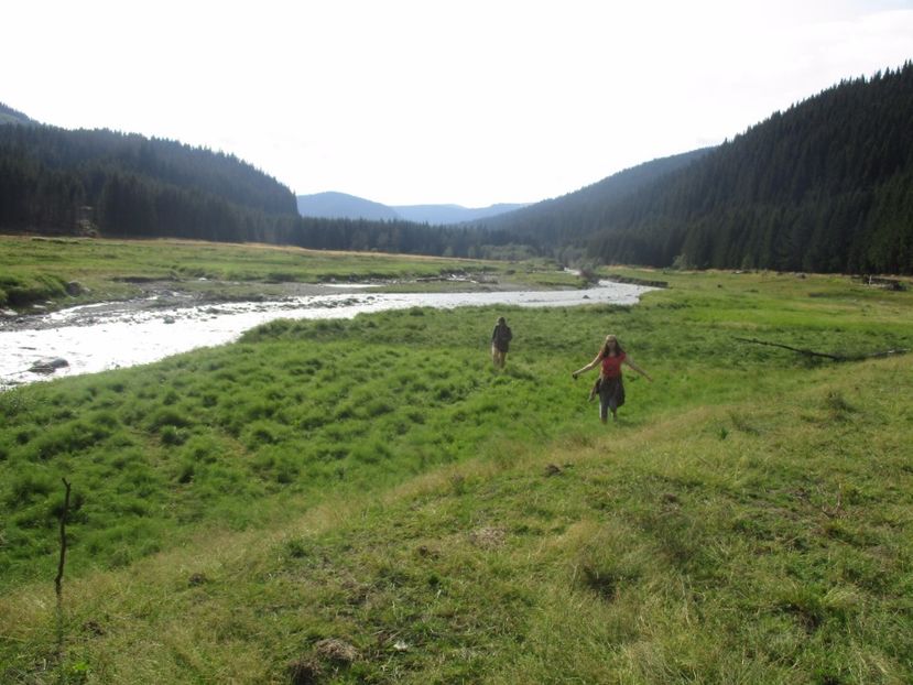  - 2017 - Obarsia Lotrului - prima zi