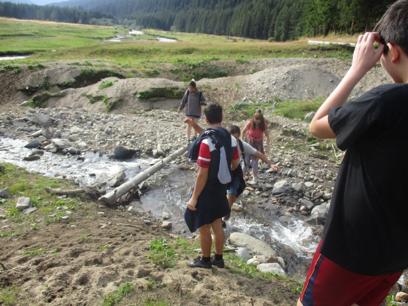  - 2017 - Obarsia Lotrului - prima zi