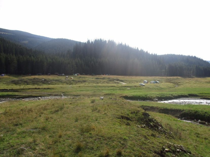  - 2017 - Obarsia Lotrului - prima zi