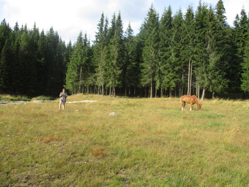  - 2017 - Obarsia Lotrului - prima zi