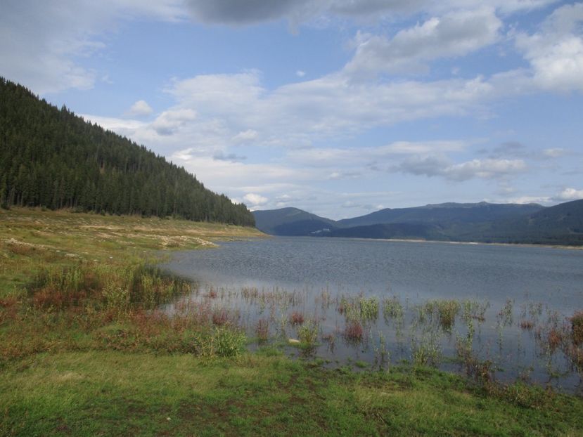  - 2017 - Obarsia Lotrului - prima zi