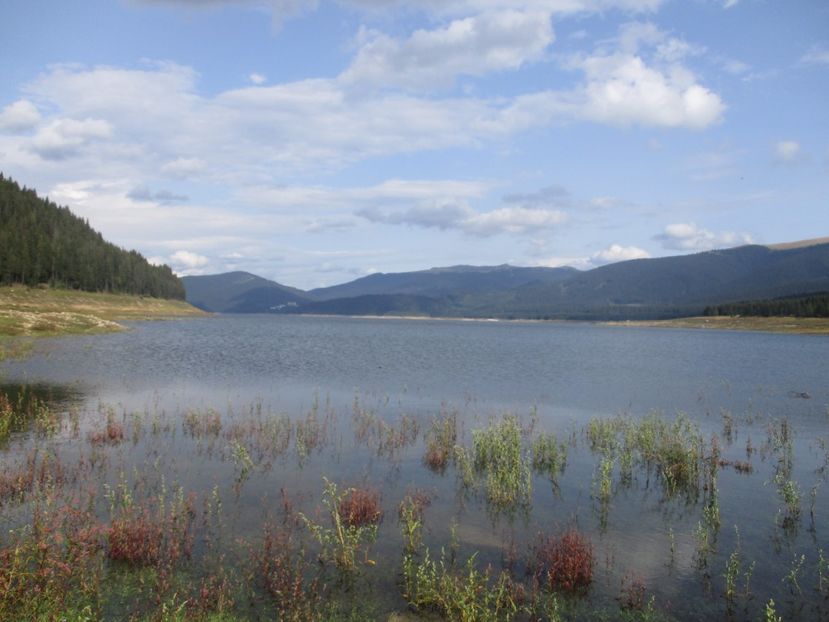  - 2017 - Obarsia Lotrului - prima zi