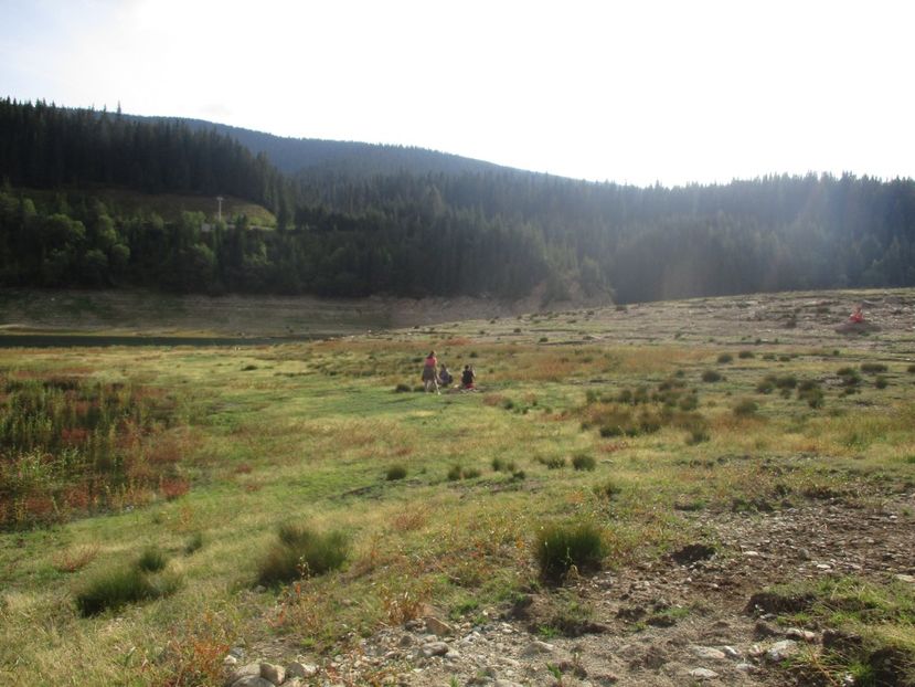  - 2017 - Obarsia Lotrului - prima zi