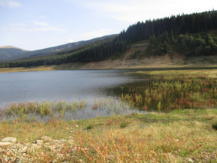  - 2017 - Obarsia Lotrului - prima zi