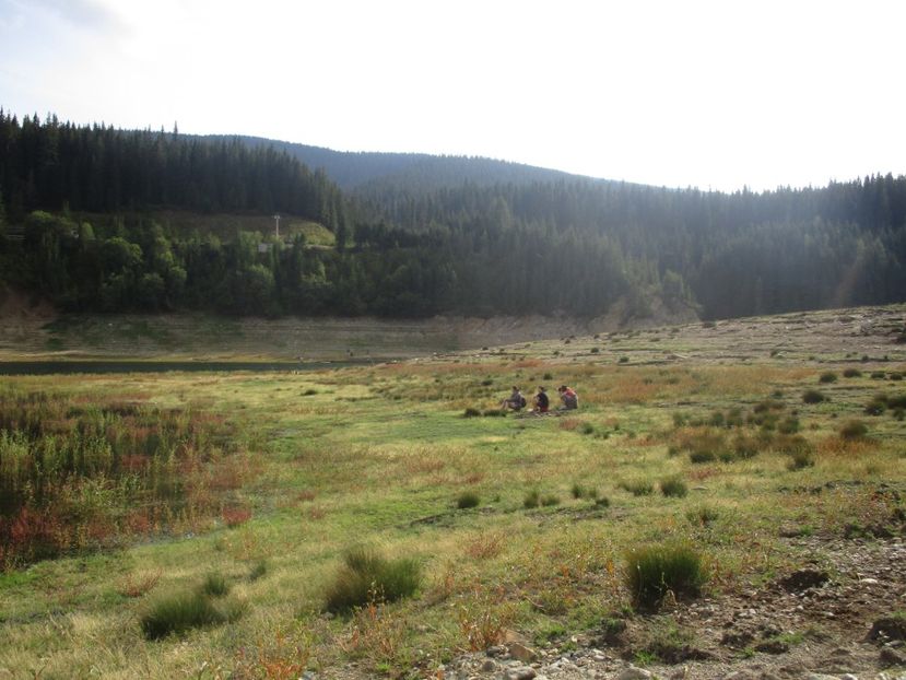  - 2017 - Obarsia Lotrului - prima zi