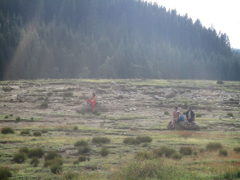  - 2017 - Obarsia Lotrului - prima zi