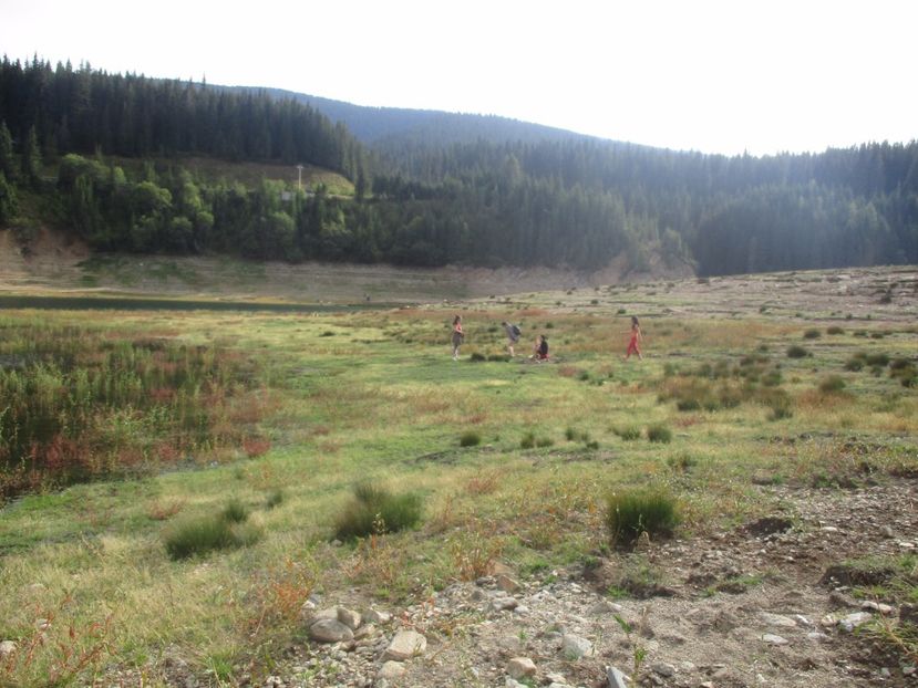  - 2017 - Obarsia Lotrului - prima zi