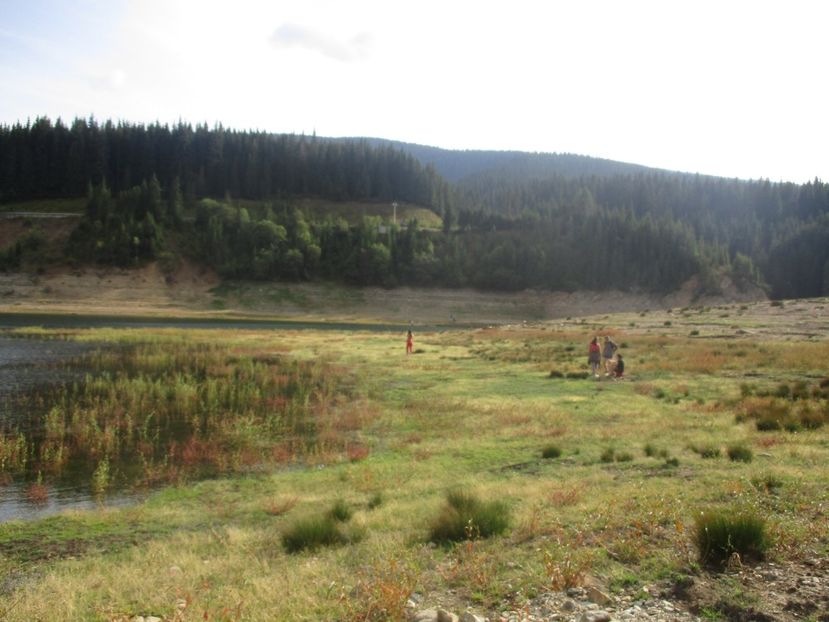  - 2017 - Obarsia Lotrului - prima zi