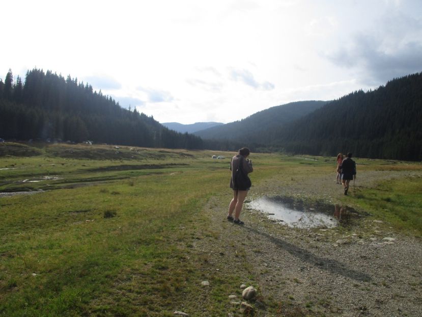  - 2017 - Obarsia Lotrului - prima zi