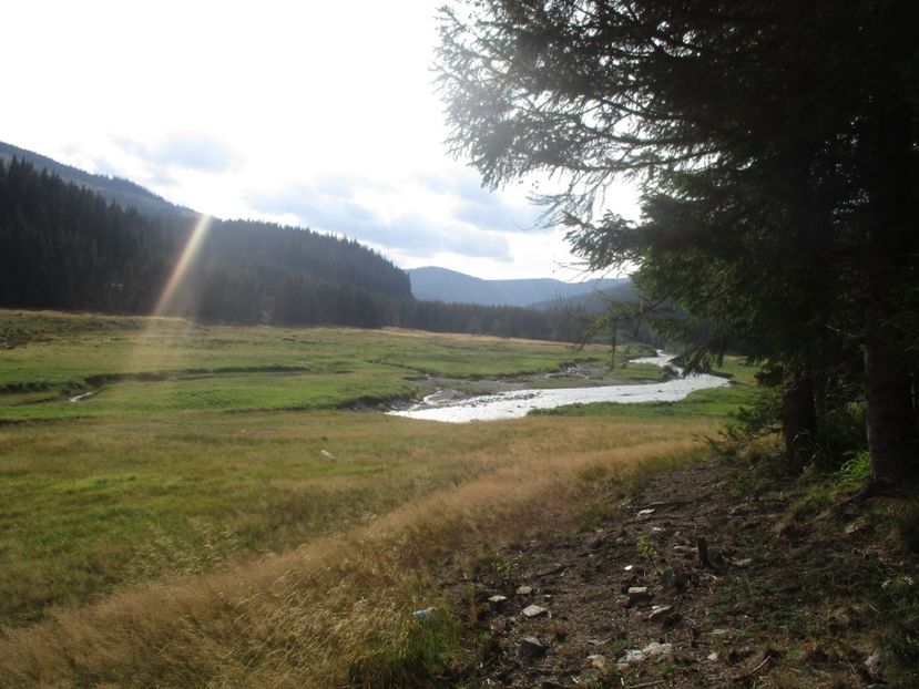  - 2017 - Obarsia Lotrului - prima zi