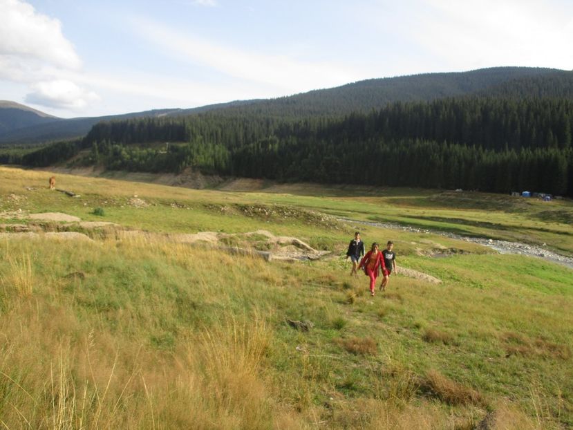  - 2017 - Obarsia Lotrului - prima zi