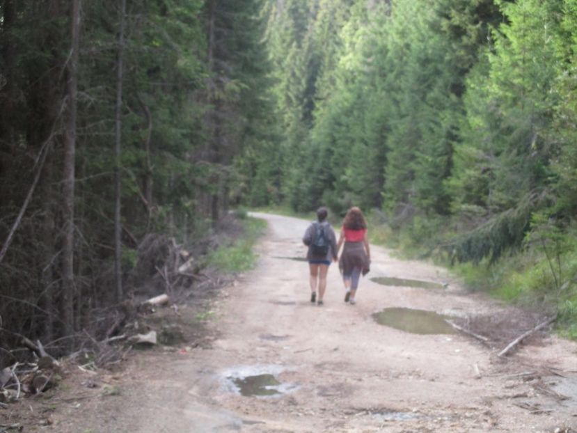  - 2017 - Obarsia Lotrului - prima zi