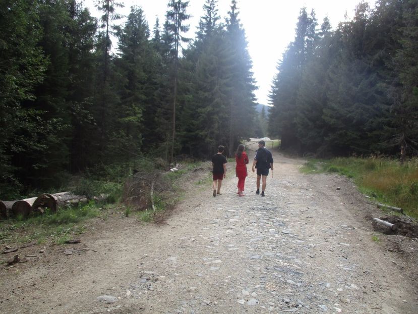  - 2017 - Obarsia Lotrului - prima zi