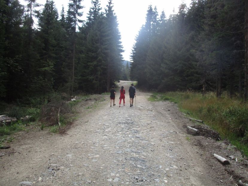  - 2017 - Obarsia Lotrului - prima zi