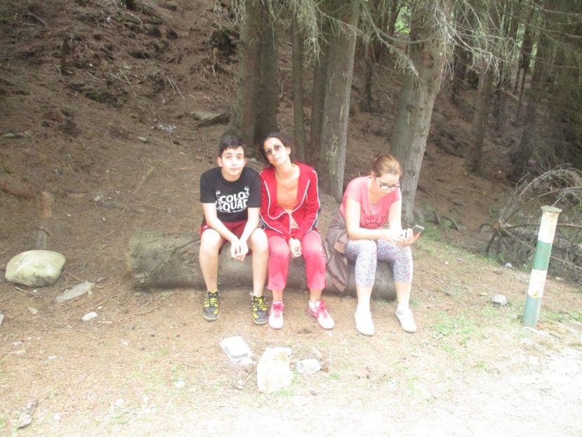  - 2017 - Obarsia Lotrului - prima zi