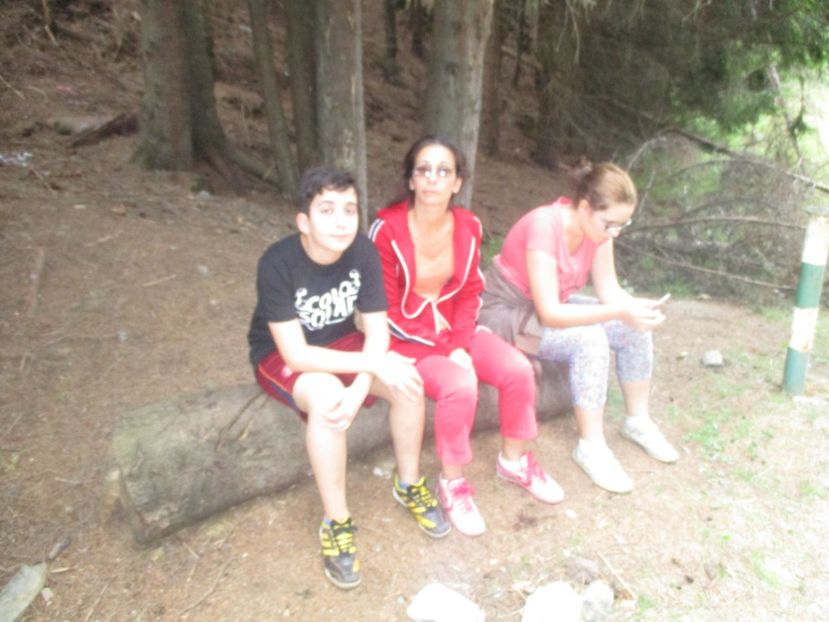  - 2017 - Obarsia Lotrului - prima zi