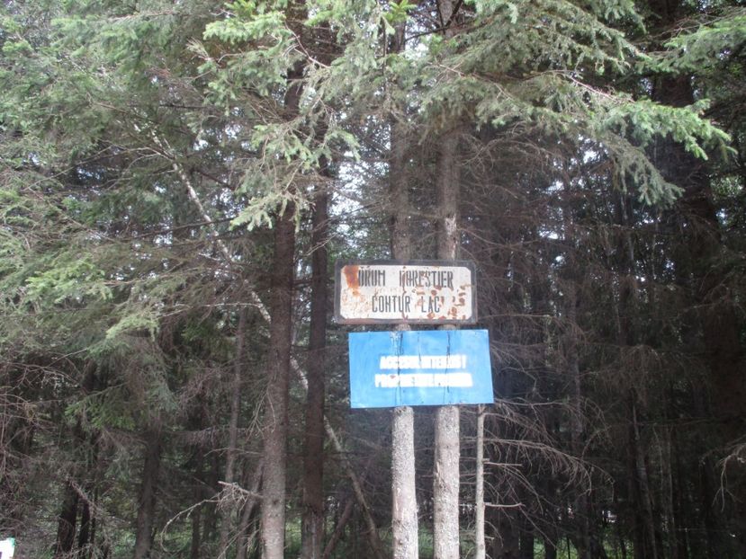  - 2017 - Obarsia Lotrului - prima zi