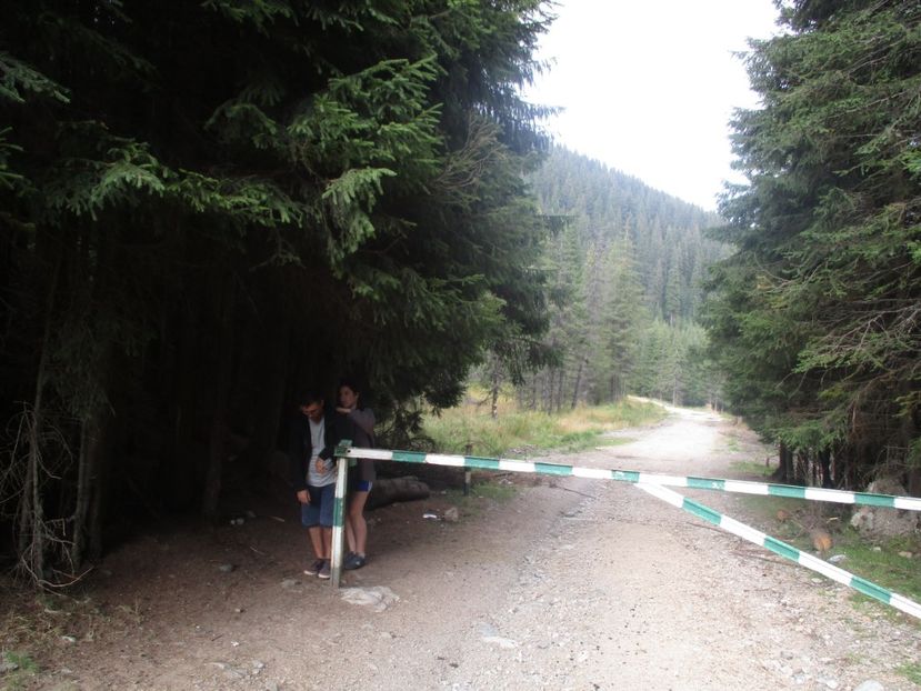  - 2017 - Obarsia Lotrului - prima zi