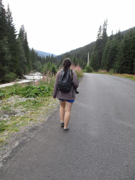  - 2017 - Obarsia Lotrului - prima zi