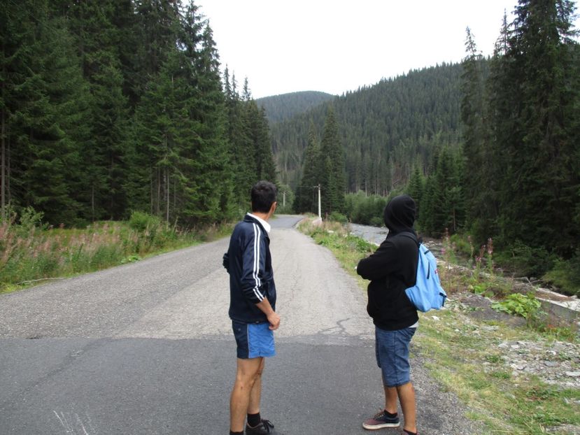  - 2017 - Obarsia Lotrului - prima zi